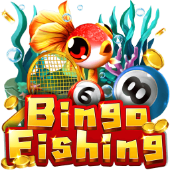 ao88a Câu Cá Bingo